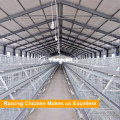 Galvanized Q235 Steel Material Poultry Layer Farming Equipment in Nigeria